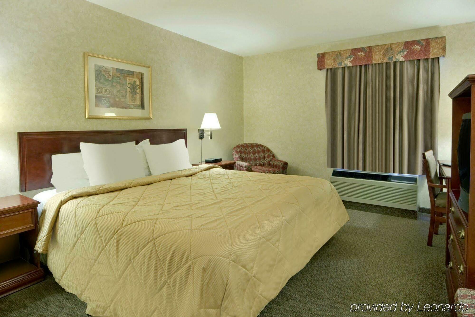 Comfort Inn & Suites University YYC Habitación foto